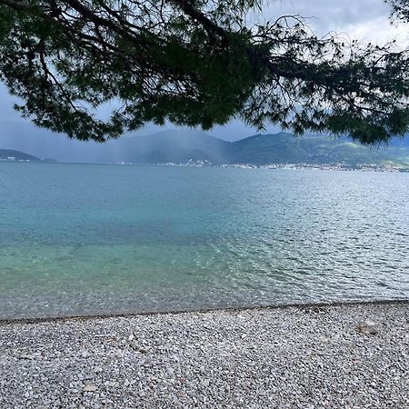 Apartments Obradovic Krasići Dış mekan fotoğraf