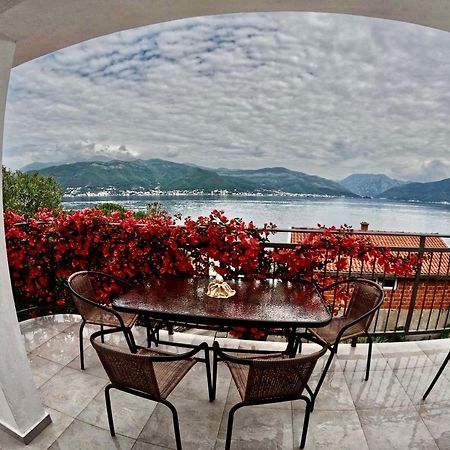 Apartments Obradovic Krasići Dış mekan fotoğraf