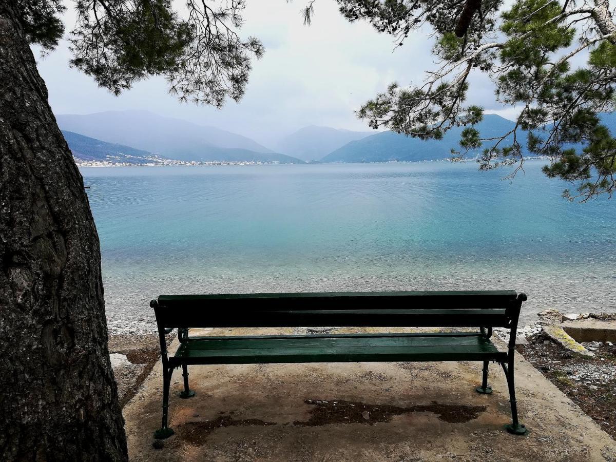 Apartments Obradovic Krasići Dış mekan fotoğraf