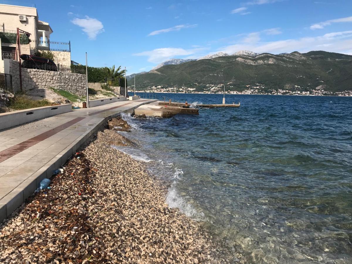 Apartments Obradovic Krasići Dış mekan fotoğraf