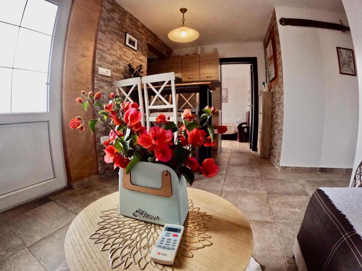 Apartments Obradovic Krasići Dış mekan fotoğraf