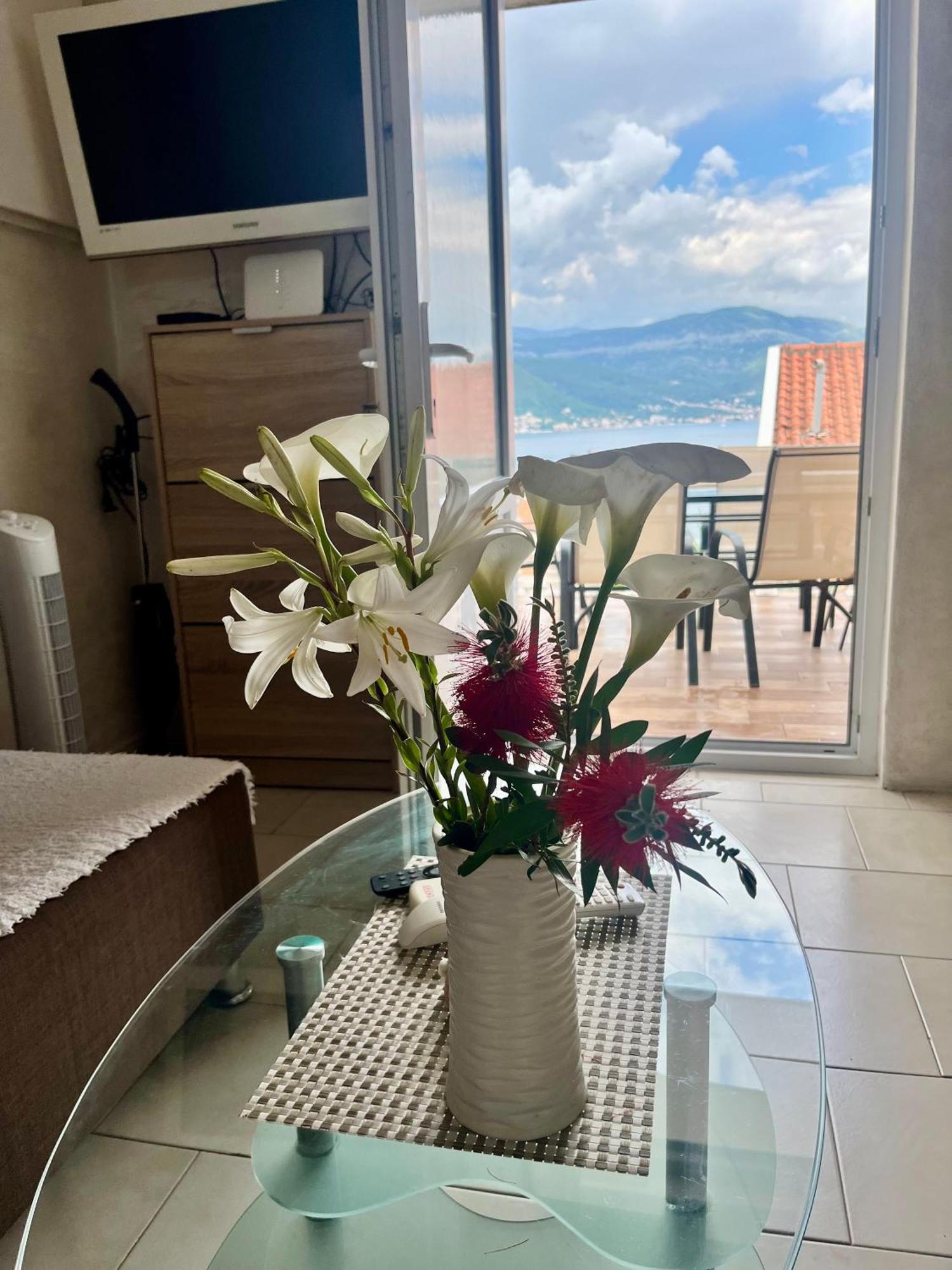 Apartments Obradovic Krasići Oda fotoğraf